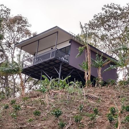 El Paraiso Escondido Lägenhet San Juan  Exteriör bild