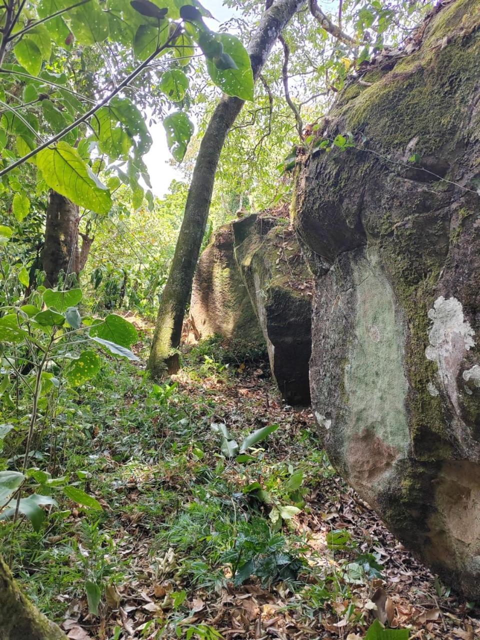 El Paraiso Escondido Lägenhet San Juan  Exteriör bild