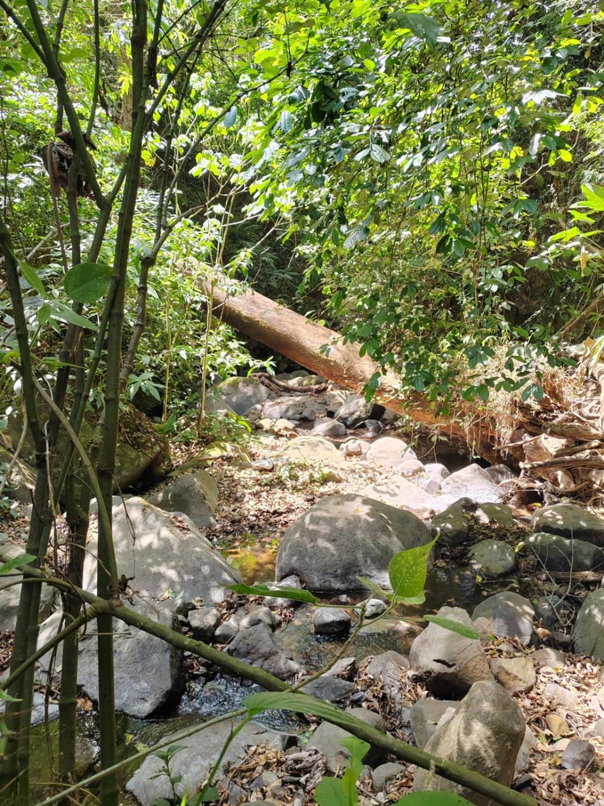 El Paraiso Escondido Lägenhet San Juan  Exteriör bild