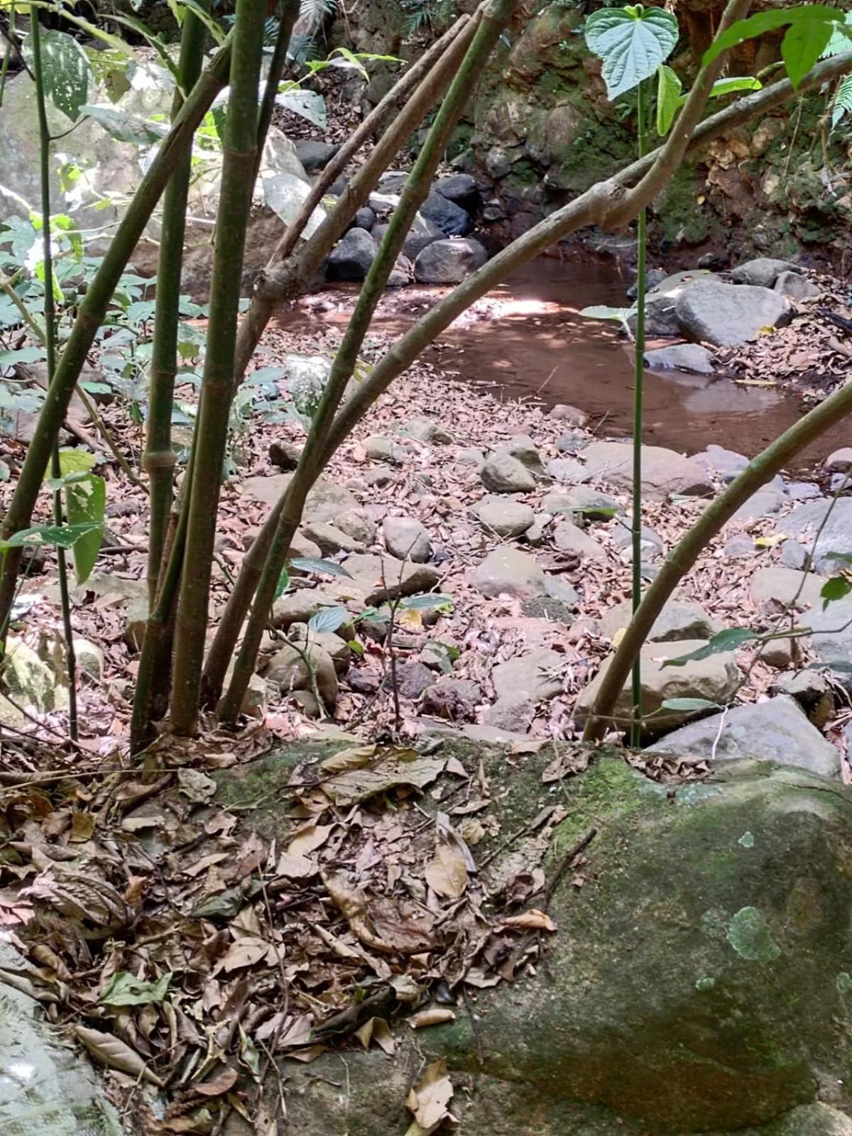 El Paraiso Escondido Lägenhet San Juan  Exteriör bild